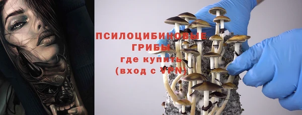 альфа пвп Верхнеуральск